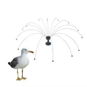 Pincho araña gaviota
