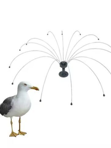 Pincho araña gaviota
